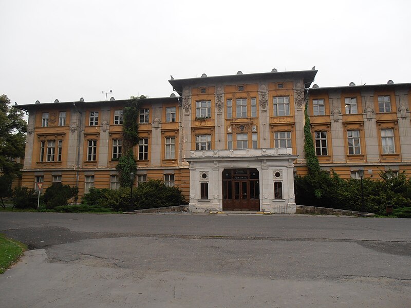 Slezská nemocnice Opava (Moravskoslezská nemocnice)