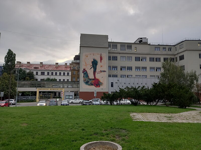 Úrazová nemocnice v Brně – Brno